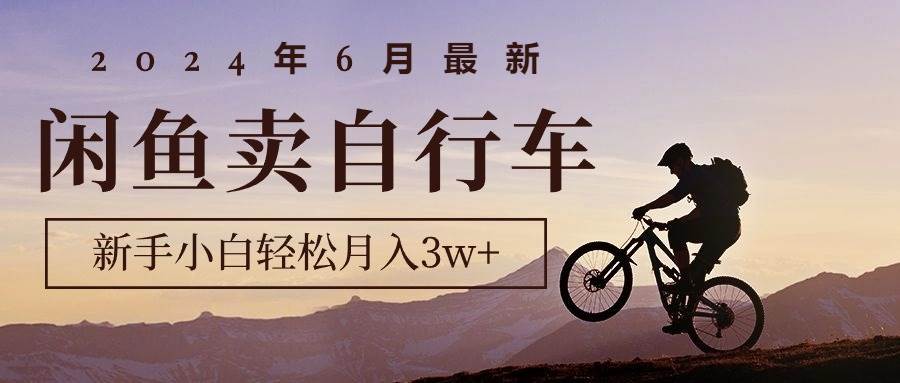 （10915期）2024年6月最新闲鱼卖自行车，新手小白轻松月入3w+项目插图